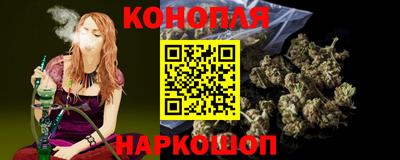 шишки Обь