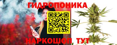 spice Обнинск