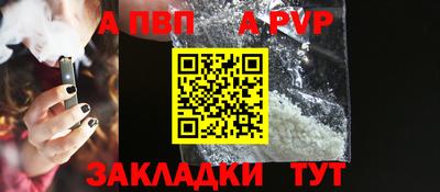 шишки Обь