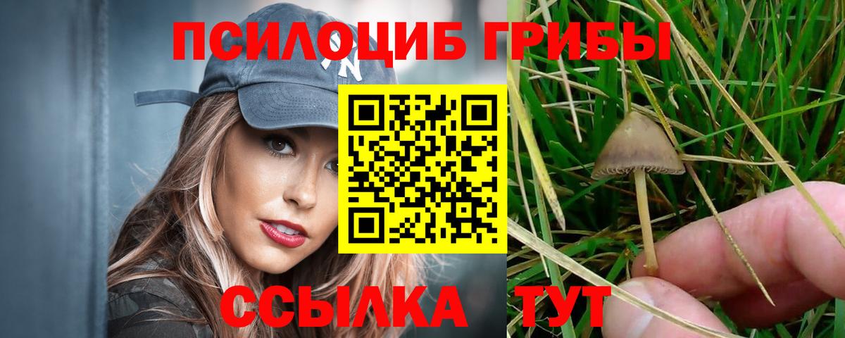 Псилоцибиновые грибы Cubensis  Галлюциногенные грибы прущие грибы  даркнет сайт  Вход с VPN  Узловая 
